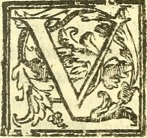 An illustration from Le medicine partenenti alle infermità delle donne, 1574, leaf 410