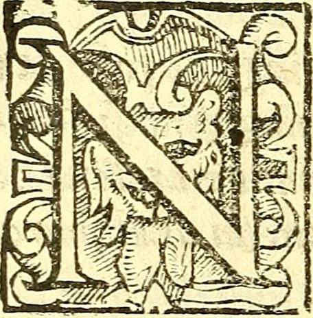 An illustration from Le medicine partenenti alle infermità delle donne, 1574, leaf 473