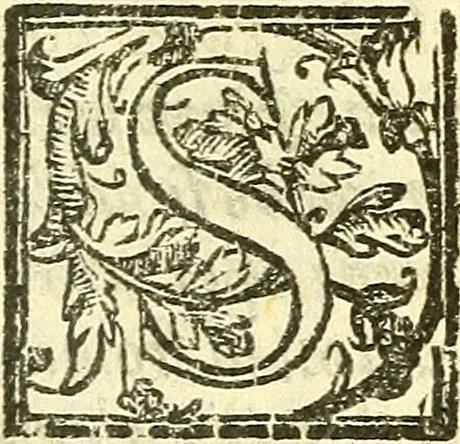 An illustration from Le medicine partenenti alle infermità delle donne, 1574, leaf 482