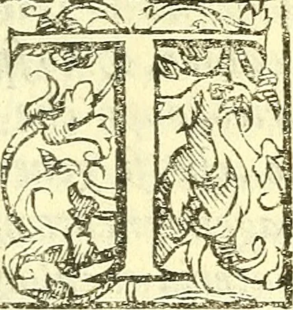 An illustration from Le medicine partenenti alle infermità delle donne, 1574, leaf 488