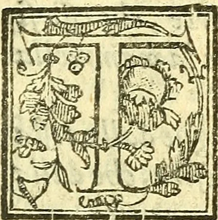 An illustration from Le medicine partenenti alle infermità delle donne, 1574, leaf 504
