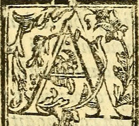 An illustration from Le medicine partenenti alle infermità delle donne, 1574, leaf 515