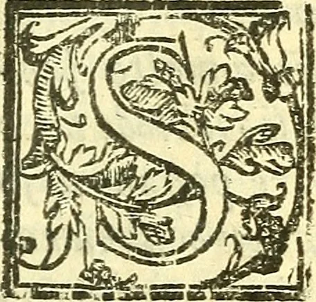 An illustration from Le medicine partenenti alle infermità delle donne, 1574, leaf 524