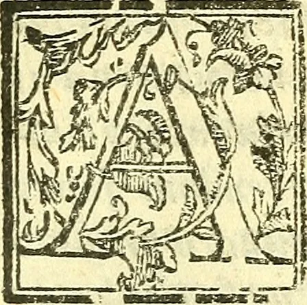 An illustration from Le medicine partenenti alle infermità delle donne, 1574, leaf 550