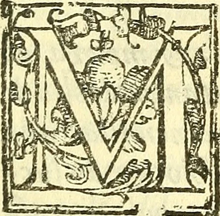 An illustration from Le medicine partenenti alle infermità delle donne, 1574, leaf 550
