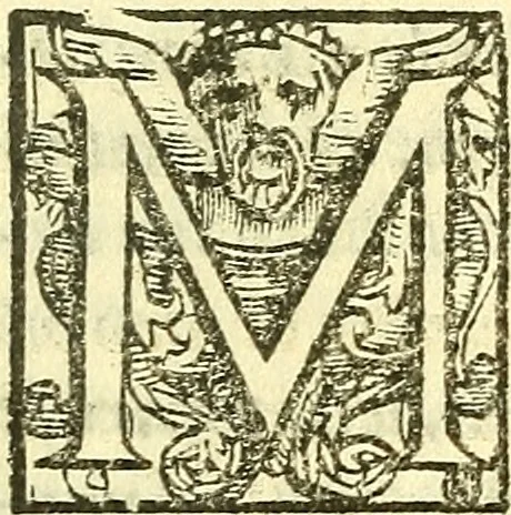 An illustration from Le medicine partenenti alle infermità delle donne, 1574, leaf 554
