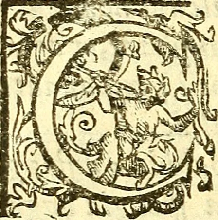 An illustration from Le medicine partenenti alle infermità delle donne, 1574, leaf 57