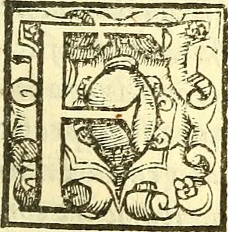 An illustration from Le medicine partenenti alle infermità delle donne, 1574, leaf 588