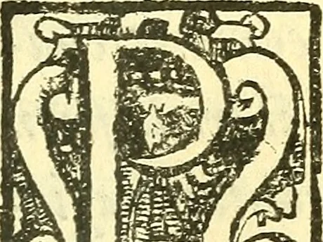 An illustration from Le medicine partenenti alle infermità delle donne, 1574, leaf 6