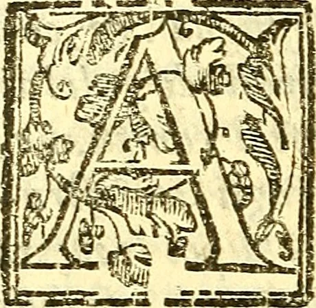 An illustration from Le medicine partenenti alle infermità delle donne, 1574, leaf 641