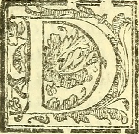 An illustration from Le medicine partenenti alle infermità delle donne, 1574, leaf 644