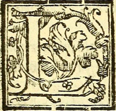 An illustration from Le medicine partenenti alle infermità delle donne, 1574, leaf 677