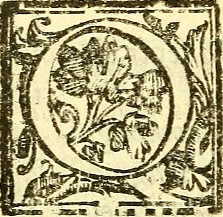 An illustration from Le medicine partenenti alle infermità delle donne, 1574, leaf 679