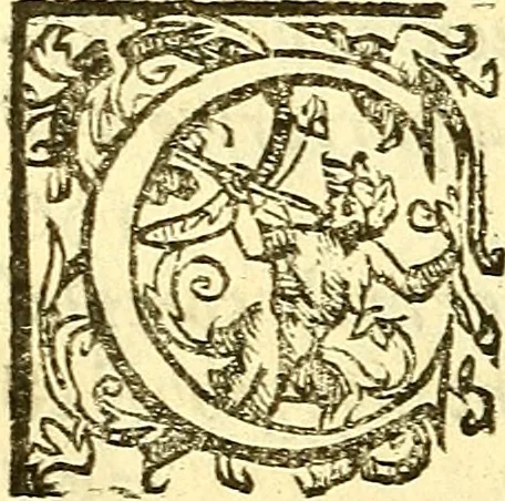 An illustration from Le medicine partenenti alle infermità delle donne, 1574, leaf 683