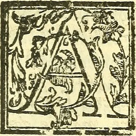 An illustration from Le medicine partenenti alle infermità delle donne, 1574, leaf 686