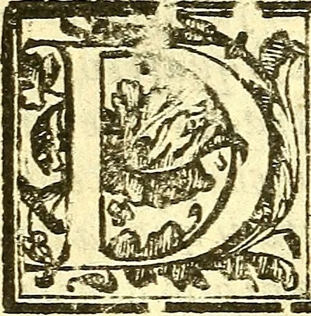 An illustration from Le medicine partenenti alle infermità delle donne, 1574, leaf 91