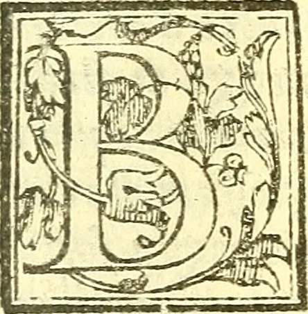 An illustration from Le medicine partenenti alle infermità delle donne, 1574, leaf 94