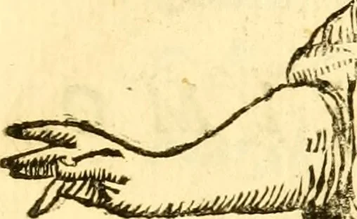 An illustration from Le memorie bresciane : opera historica, e simbolica, 1693, leaf 112