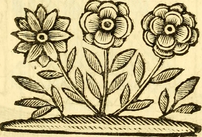 An illustration from Le memorie bresciane : opera historica, e simbolica, 1693, leaf 114