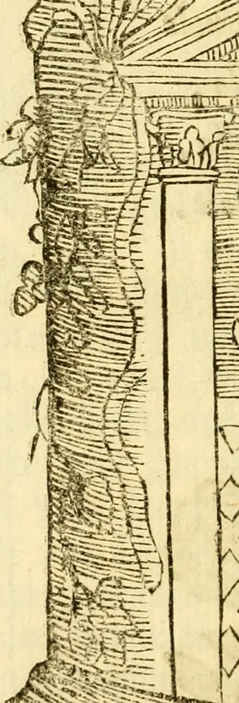 An illustration from Le memorie bresciane : opera historica, e simbolica, 1693, leaf 115