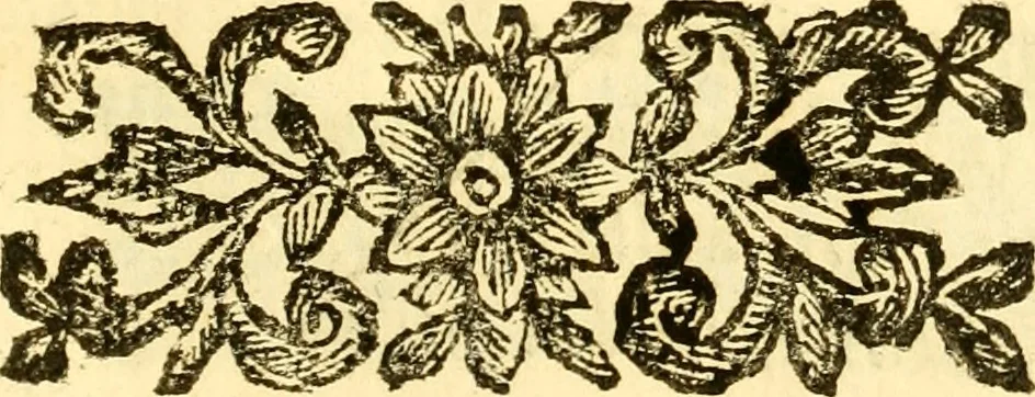 An illustration from Le memorie bresciane : opera historica, e simbolica, 1693, leaf 248