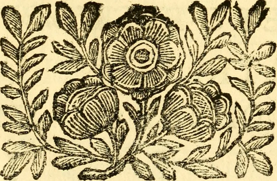 An illustration from Le memorie bresciane : opera historica, e simbolica, 1693, leaf 28