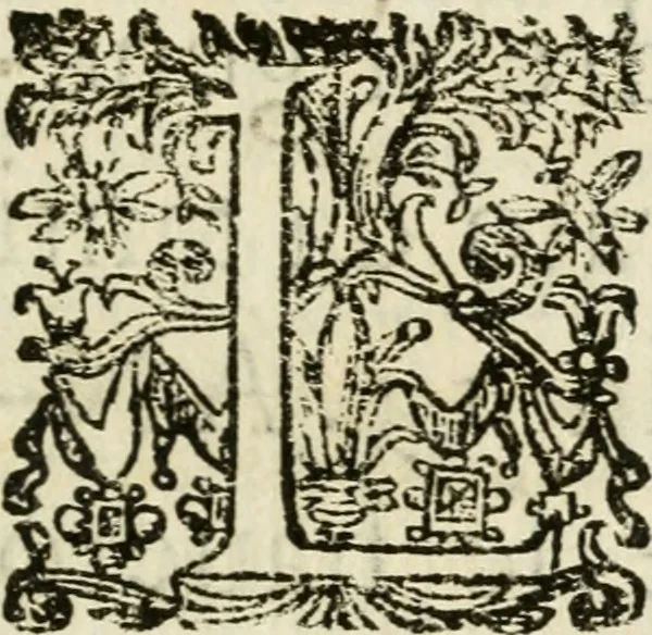 An illustration from Le memorie de l'anno santo M.DC.LXXV : celebrato da papa Clemente X e consecrate alla santitá di N.S. papa Innocenzo XII, 1691, leaf 12