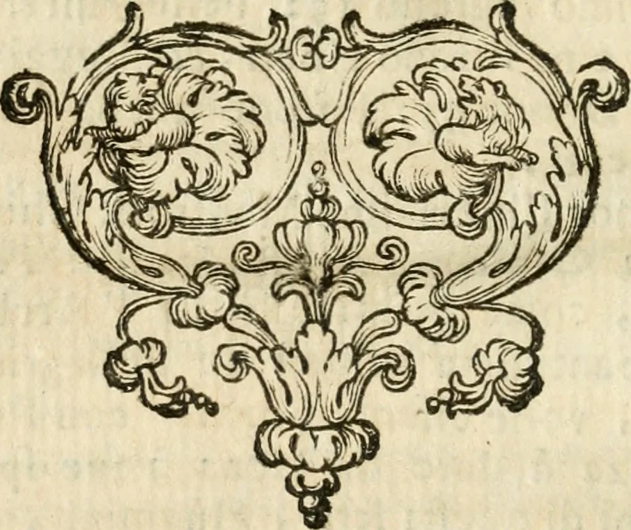 An illustration from Le memorie de l'anno santo M.DC.LXXV : celebrato da papa Clemente X e consecrate alla santitá di N.S. papa Innocenzo XII, 1691, leaf 135