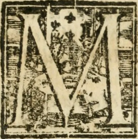 An illustration from Le memorie de l'anno santo M.DC.LXXV : celebrato da papa Clemente X e consecrate alla santitá di N.S. papa Innocenzo XII, 1691, leaf 206