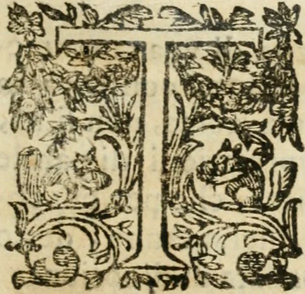 An illustration from Le memorie de l'anno santo M.DC.LXXV : celebrato da papa Clemente X e consecrate alla santitá di N.S. papa Innocenzo XII, 1691, leaf 24