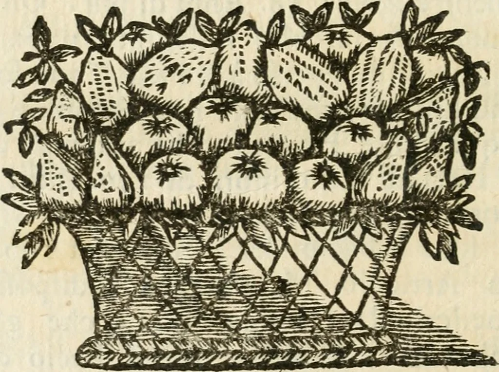 An illustration from Le memorie de l'anno santo M.DC.LXXV : celebrato da papa Clemente X e consecrate alla santitá di N.S. papa Innocenzo XII, 1691, leaf 343