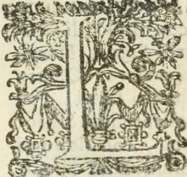 An illustration from Le memorie de l'anno santo M.DC.LXXV : celebrato da papa Clemente X e consecrate alla santitá di N.S. papa Innocenzo XII, 1691, leaf 486