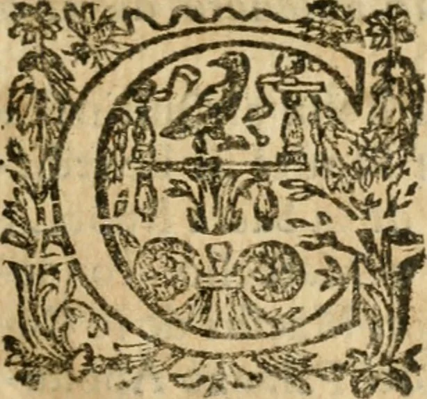 An illustration from Le memorie de l'anno santo M.DC.LXXV : celebrato da papa Clemente X e consecrate alla santitá di N.S. papa Innocenzo XII, 1691, leaf 62