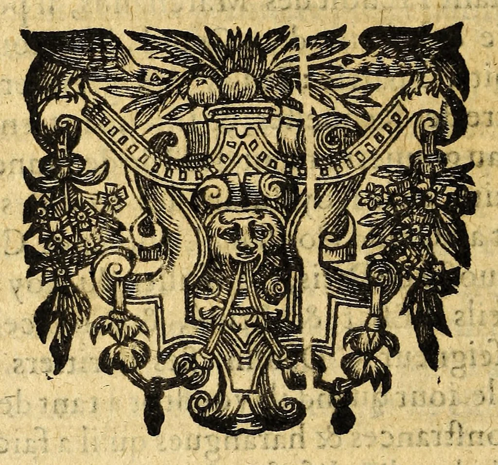An illustration from Le mercure françois, ou, La suitte de l'histoire de la paix. : Commençant l'an M. D.CV. pour suitte du septenaire du D. Cayer, & finissant au sacre du tres-Chrestien roy de France & de Nauarre Loys XIII. [i.e. Cayet. From 1605 to 1635 by J. and E. Richer, and continued to 1644 by J. Renaudot], 1611, leaf 864