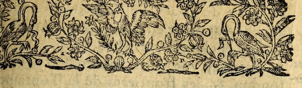 An illustration from Le mercure françois, ou, La suitte de l'histoire de la paix. : Commençant l'an M. D.CV. pour suitte du septenaire du D. Cayer, & finissant au sacre du tres-Chrestien roy de France & de Nauarre Loys XIII. [i.e. Cayet. From 1605 to 1635 by J. and E. Richer, and continued to 1644 by J. Renaudot], 1611, leaf 727