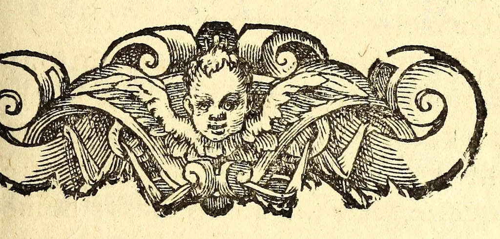 An illustration from Le mercure françois, ou, La suitte de l'histoire de la paix. : Commençant l'an M. D.CV. pour suitte du septenaire du D. Cayer, & finissant au sacre du tres-Chrestien roy de France & de Nauarre Loys XIII. [i.e. Cayet. From 1605 to 1635 by J. and E. Richer, and continued to 1644 by J. Renaudot], 1611, leaf 681