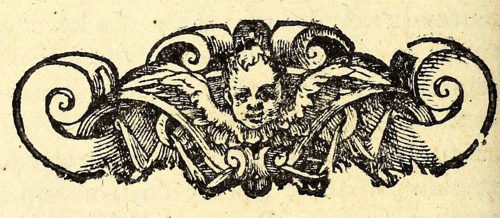 An illustration from Le mercure françois, ou, La suitte de l'histoire de la paix. : Commençant l'an M. D.CV. pour suitte du septenaire du D. Cayer, & finissant au sacre du tres-Chrestien roy de France & de Nauarre Loys XIII. [i.e. Cayet. From 1605 to 1635 by J. and E. Richer, and continued to 1644 by J. Renaudot], 1611, leaf 866
