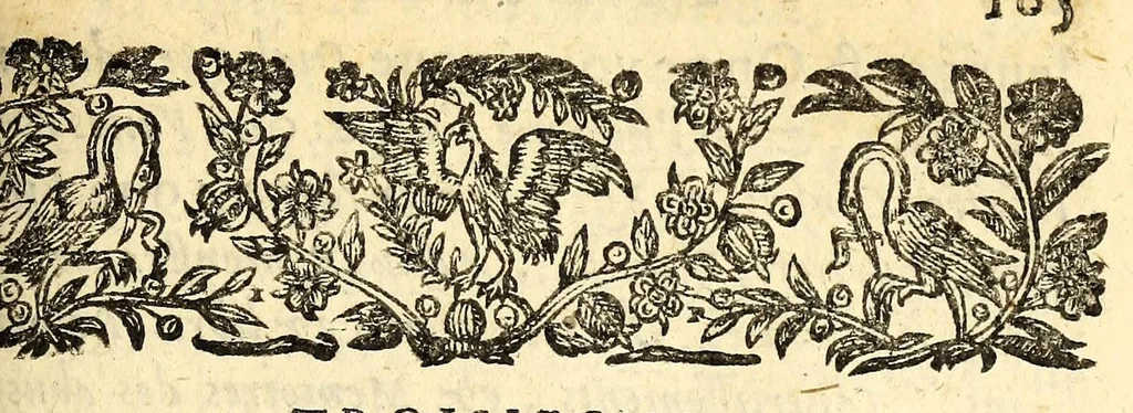 An illustration from Le mercure françois, ou, La suitte de l'histoire de la paix. : Commençant l'an M. D.CV. pour suitte du septenaire du D. Cayer, & finissant au sacre du tres-Chrestien roy de France & de Nauarre Loys XIII. [i.e. Cayet. From 1605 to 1635 by J. and E. Richer, and continued to 1644 by J. Renaudot], 1611, leaf 867