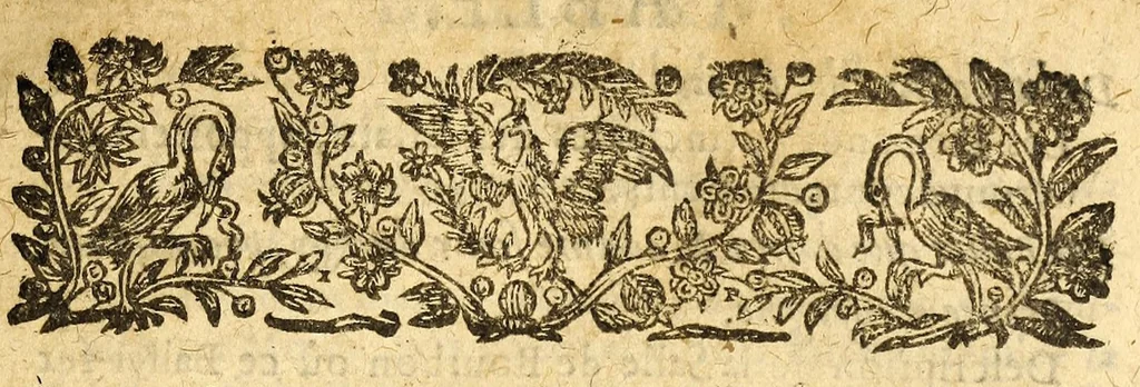 An illustration from Le mercure françois, ou, La suitte de l'histoire de la paix. : Commençant l'an M. D.CV. pour suitte du septenaire du D. Cayer, & finissant au sacre du tres-Chrestien roy de France & de Nauarre Loys XIII. [i.e. Cayet. From 1605 to 1635 by J. and E. Richer, and continued to 1644 by J. Renaudot], 1611, leaf 11
