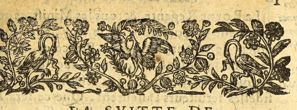 An illustration from Le mercure françois, ou, La suitte de l'histoire de la paix. : Commençant l'an M. D.CV. pour suitte du septenaire du D. Cayer, & finissant au sacre du tres-Chrestien roy de France & de Nauarre Loys XIII. [i.e. Cayet. From 1605 to 1635 by J. and E. Richer, and continued to 1644 by J. Renaudot], 1611, leaf 55