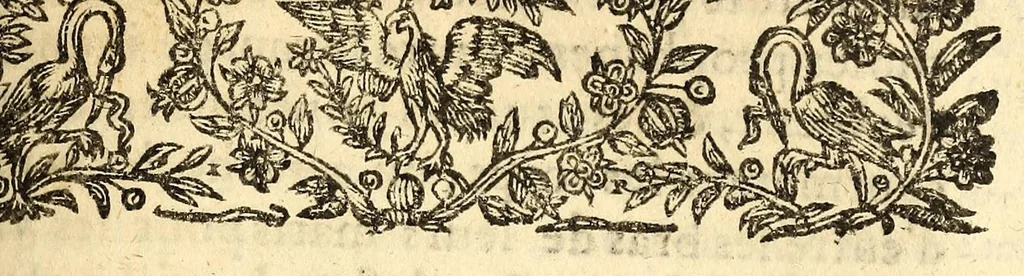 An illustration from Le mercure françois, ou, La suitte de l'histoire de la paix. : Commençant l'an M. D.CV. pour suitte du septenaire du D. Cayer, & finissant au sacre du tres-Chrestien roy de France & de Nauarre Loys XIII. [i.e. Cayet. From 1605 to 1635 by J. and E. Richer, and continued to 1644 by J. Renaudot], 1611, leaf 691