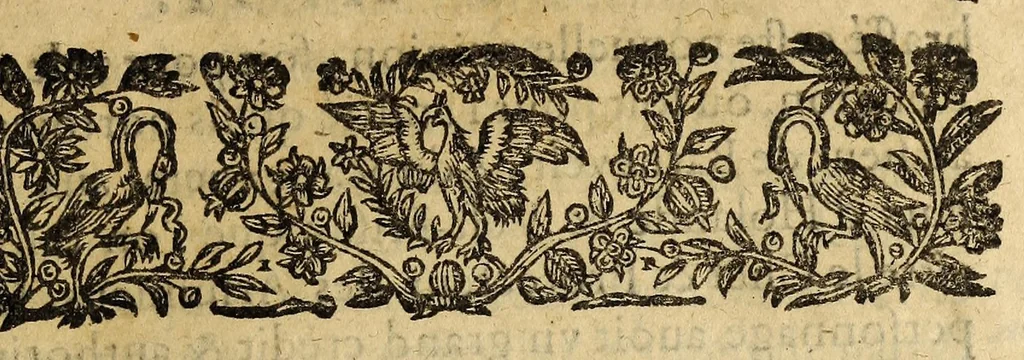 An illustration from Le mercure françois, ou, La suitte de l'histoire de la paix. : Commençant l'an M. D.CV. pour suitte du septenaire du D. Cayer, & finissant au sacre du tres-Chrestien roy de France & de Nauarre Loys XIII. [i.e. Cayet. From 1605 to 1635 by J. and E. Richer, and continued to 1644 by J. Renaudot], 1611, leaf 55