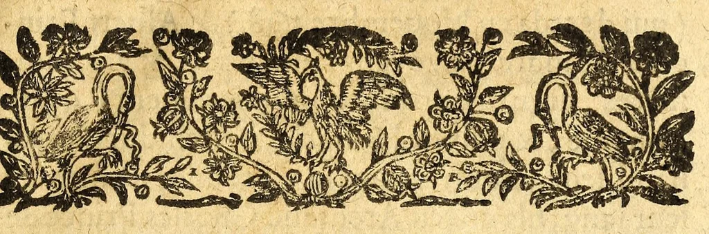 An illustration from Le mercure françois, ou, La suitte de l'histoire de la paix. : Commençant l'an M. D.CV. pour suitte du septenaire du D. Cayer, & finissant au sacre du tres-Chrestien roy de France & de Nauarre Loys XIII. [i.e. Cayet. From 1605 to 1635 by J. and E. Richer, and continued to 1644 by J. Renaudot], 1611, leaf 11