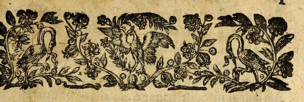 An illustration from Le mercure françois, ou, La suitte de l'histoire de la paix. : Commençant l'an M. D.CV. pour suitte du septenaire du D. Cayer, & finissant au sacre du tres-Chrestien roy de France & de Nauarre Loys XIII. [i.e. Cayet. From 1605 to 1635 by J. and E. Richer, and continued to 1644 by J. Renaudot], 1611, leaf 13