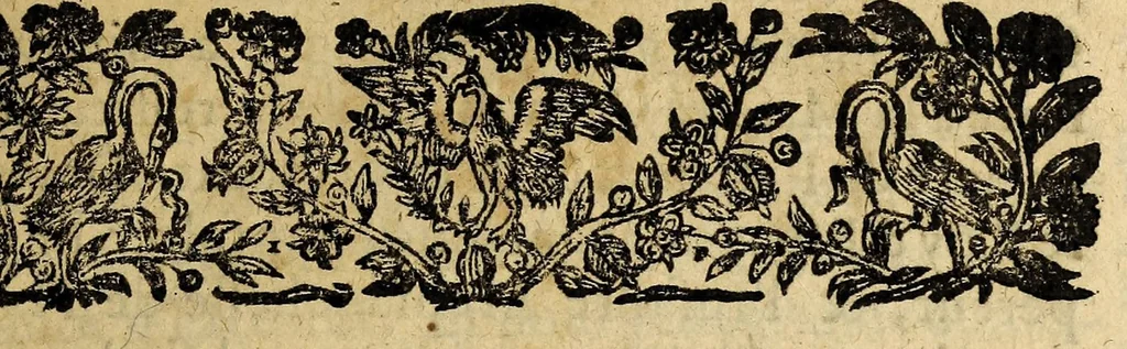 An illustration from Le mercure françois, ou, La suitte de l'histoire de la paix. : Commençant l'an M. D.CV. pour suitte du septenaire du D. Cayer, & finissant au sacre du tres-Chrestien roy de France & de Nauarre Loys XIII. [i.e. Cayet. From 1605 to 1635 by J. and E. Richer, and continued to 1644 by J. Renaudot], 1611, leaf 113