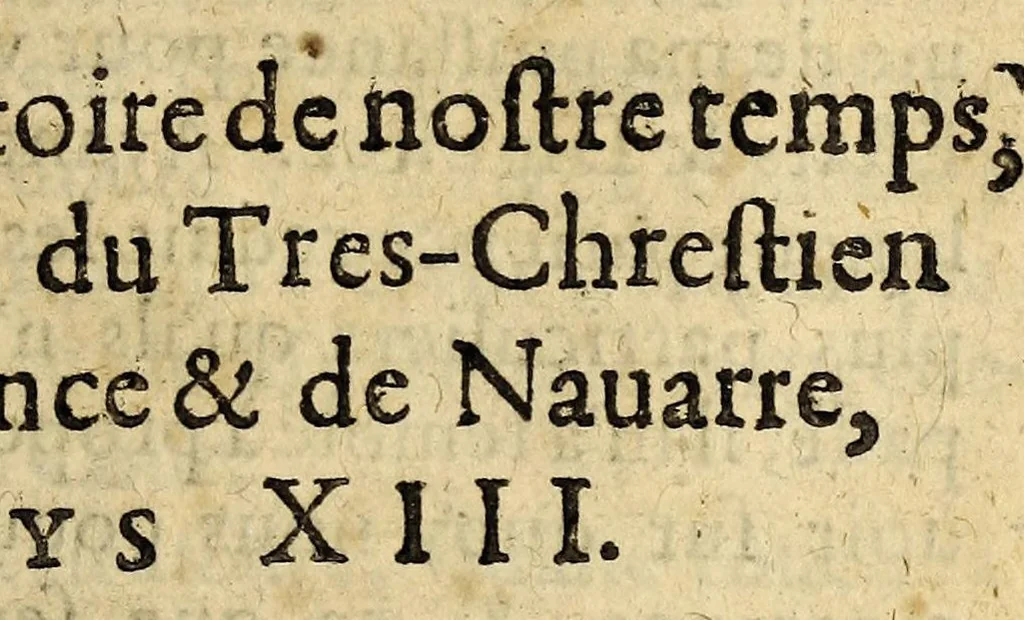 An illustration from Le mercure françois, ou, La suitte de l'histoire de la paix. : Commençant l'an M. D.CV. pour suitte du septenaire du D. Cayer, & finissant au sacre du tres-Chrestien roy de France & de Nauarre Loys XIII. [i.e. Cayet. From 1605 to 1635 by J. and E. Richer, and continued to 1644 by J. Renaudot], 1611, leaf 113
