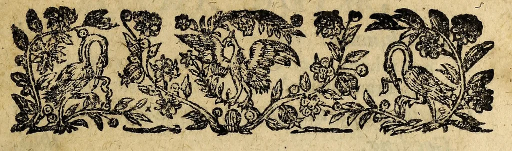 An illustration from Le mercure françois, ou, La suitte de l'histoire de la paix. : Commençant l'an M. D.CV. pour suitte du septenaire du D. Cayer, & finissant au sacre du tres-Chrestien roy de France & de Nauarre Loys XIII. [i.e. Cayet. From 1605 to 1635 by J. and E. Richer, and continued to 1644 by J. Renaudot], 1611, leaf 17