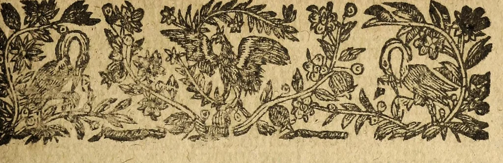 An illustration from Le mercure françois, ou, La suitte de l'histoire de la paix. : Commençant l'an M. D.CV. pour suitte du septenaire du D. Cayer, & finissant au sacre du tres-Chrestien roy de France & de Nauarre Loys XIII. [i.e. Cayet. From 1605 to 1635 by J. and E. Richer, and continued to 1644 by J. Renaudot], 1611, leaf 153