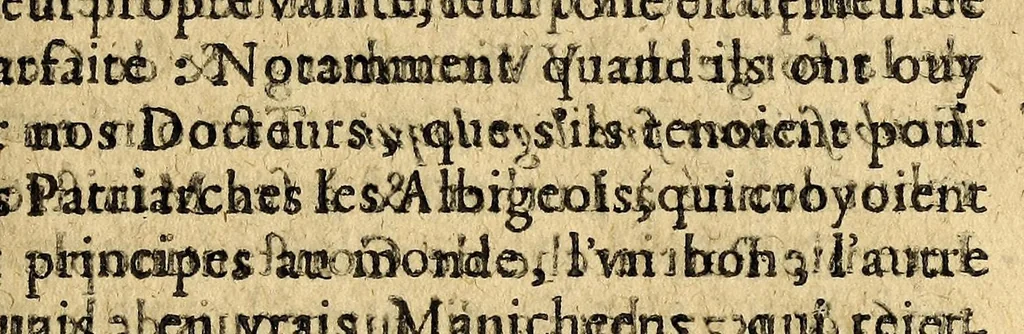 An illustration from Le mercure françois, ou, La suitte de l'histoire de la paix. : Commençant l'an M. D.CV. pour suitte du septenaire du D. Cayer, & finissant au sacre du tres-Chrestien roy de France & de Nauarre Loys XIII. [i.e. Cayet. From 1605 to 1635 by J. and E. Richer, and continued to 1644 by J. Renaudot], 1611, leaf 819