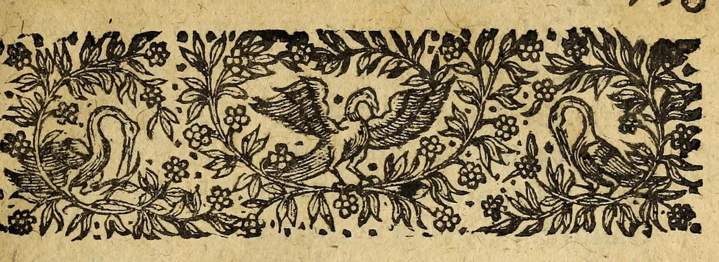 An illustration from Le mercure françois, ou, La suitte de l'histoire de la paix. : Commençant l'an M. D.CV. pour suitte du septenaire du D. Cayer, & finissant au sacre du tres-Chrestien roy de France & de Nauarre Loys XIII. [i.e. Cayet. From 1605 to 1635 by J. and E. Richer, and continued to 1644 by J. Renaudot], 1611, leaf 11